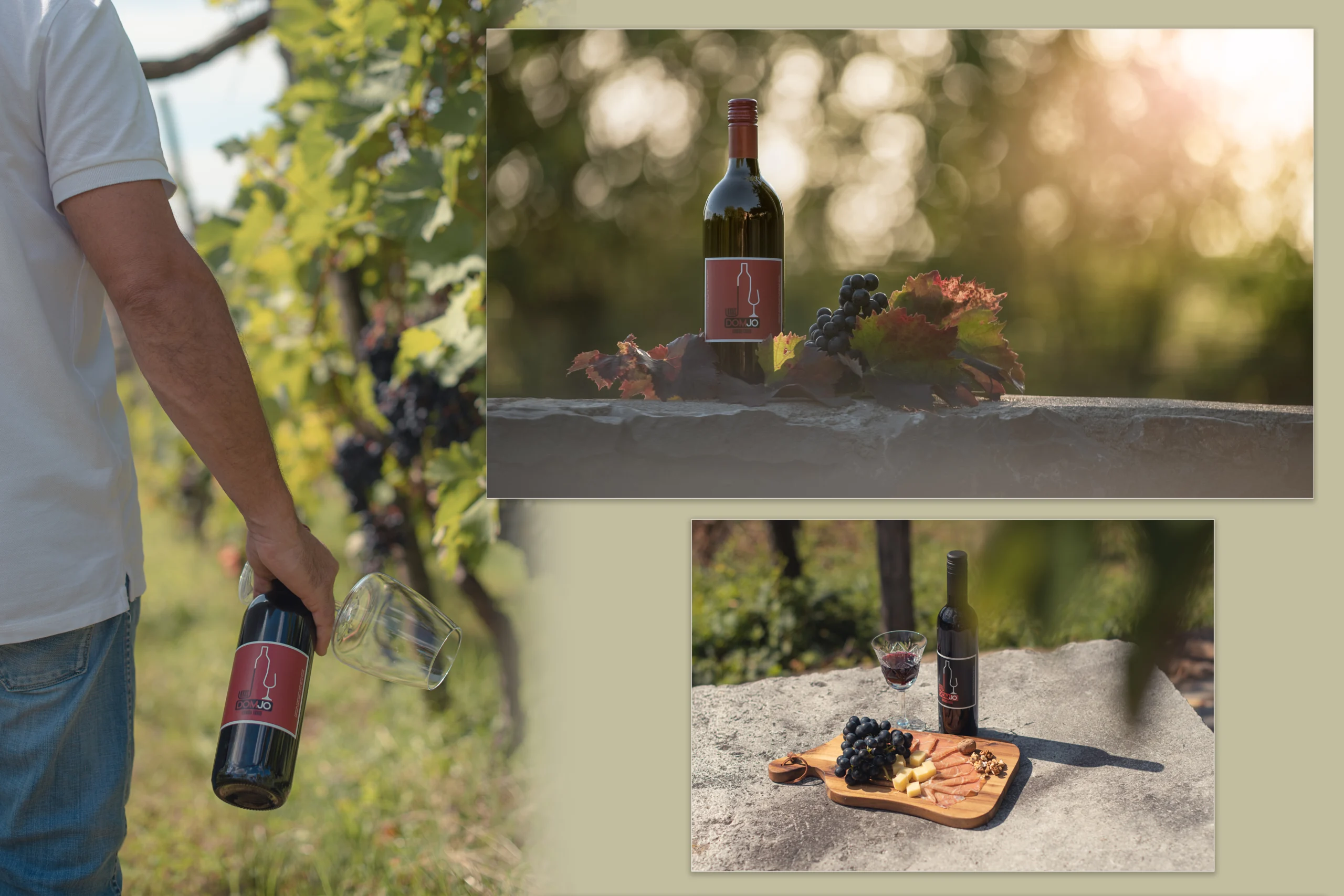 Kolaž komercialnih fotografij steklenice vina DOMJO in kozarca, postavljenih na kamnitem zidu v obsijanem vinogradu.